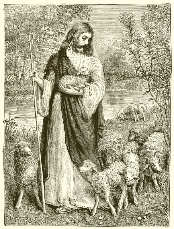Der Hirte und die Lämmer von English School