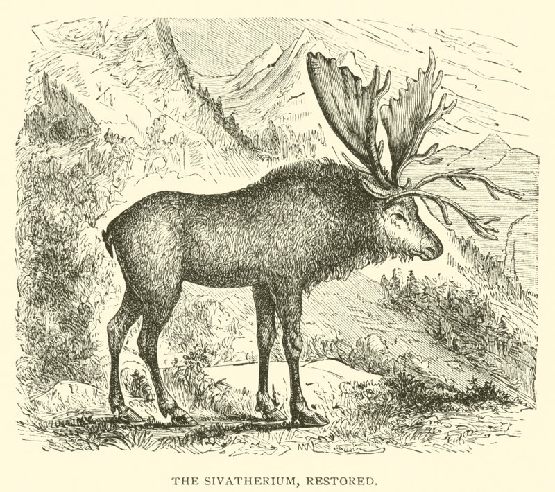 Das Sivatherium, restauriert von English School