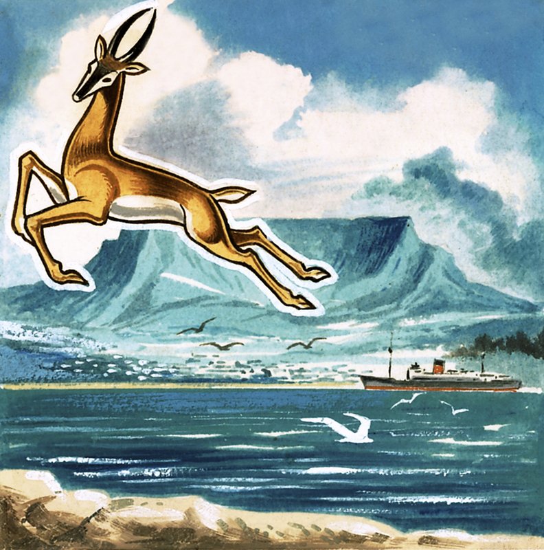 Der Springbock, Emblem Südafrikas von English School