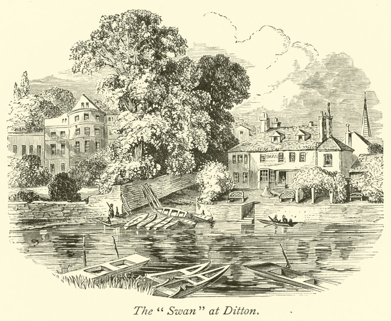 Der Schwan in Ditton von English School