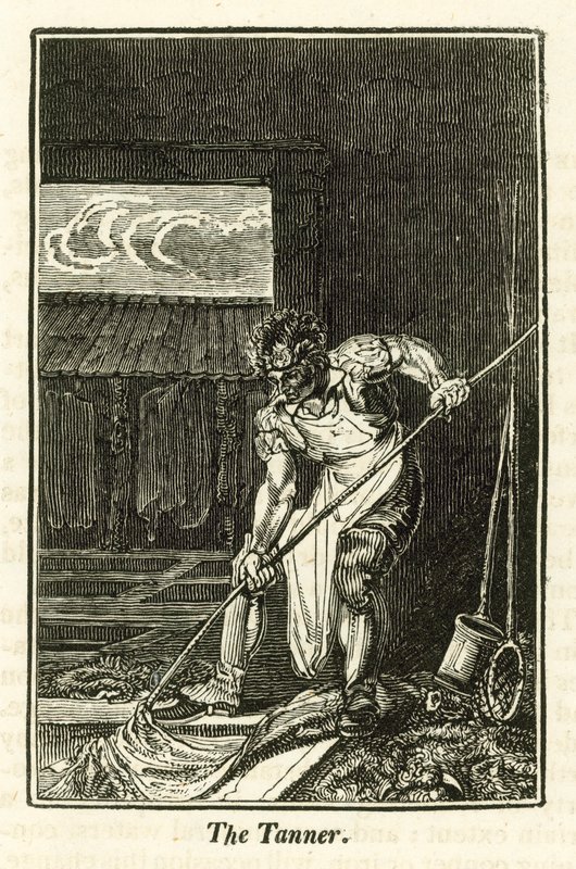 Der Gerber (Gravur) von English School