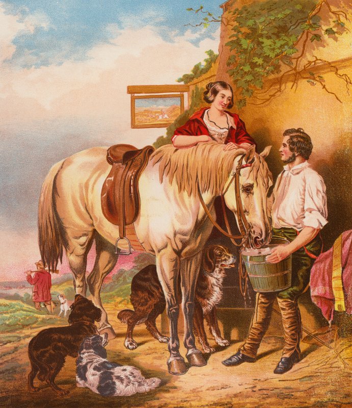 Die Reisenden von English School