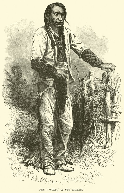 Der Wolf, ein Ute-Indianer von English School