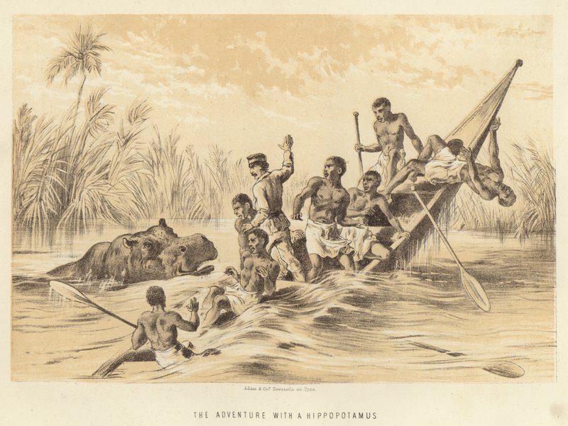 Das Abenteuer mit einem Nilpferd von English School