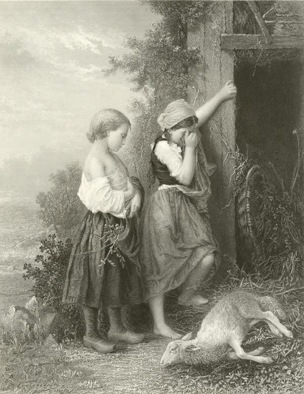 Das tote Lamm von English School
