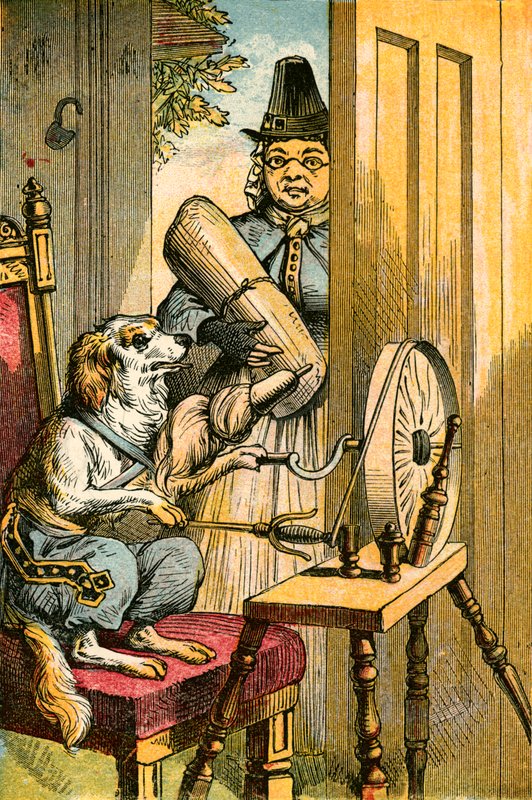 Der Hund spinnt von English School