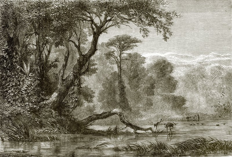 Der Fluss Phasis von English School