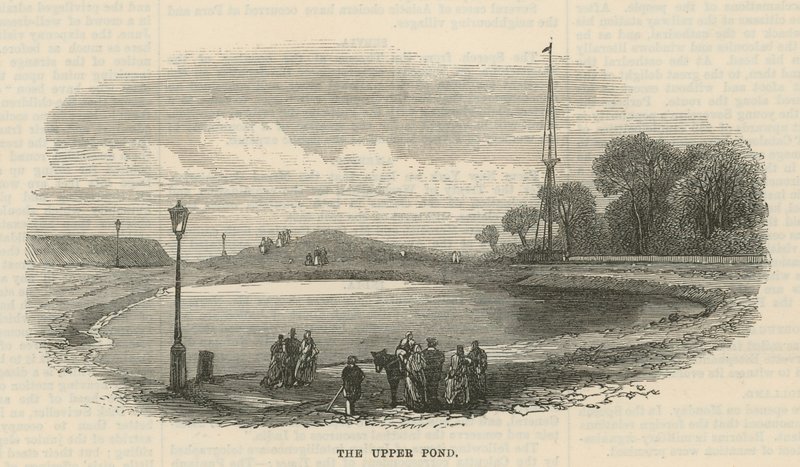 Der obere Teich, Hampstead Heath von English School