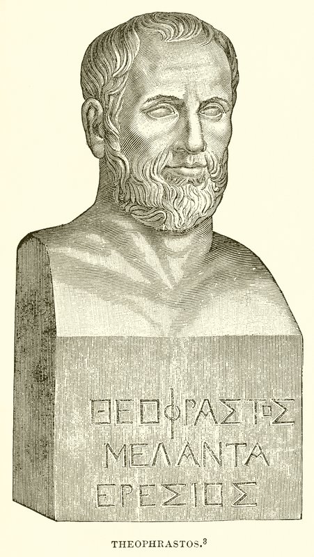 Theophrastos von English School