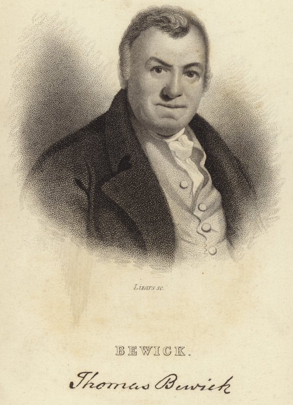 Thomas Bewick von English School