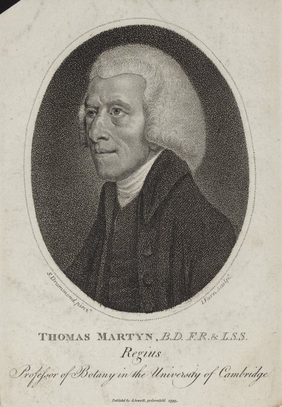 Thomas Martyn von English School