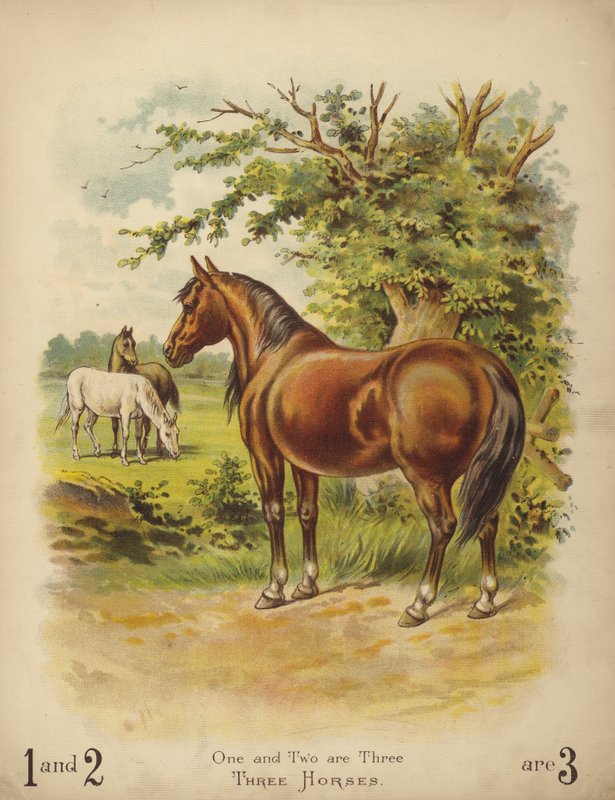 Drei Pferde von English School