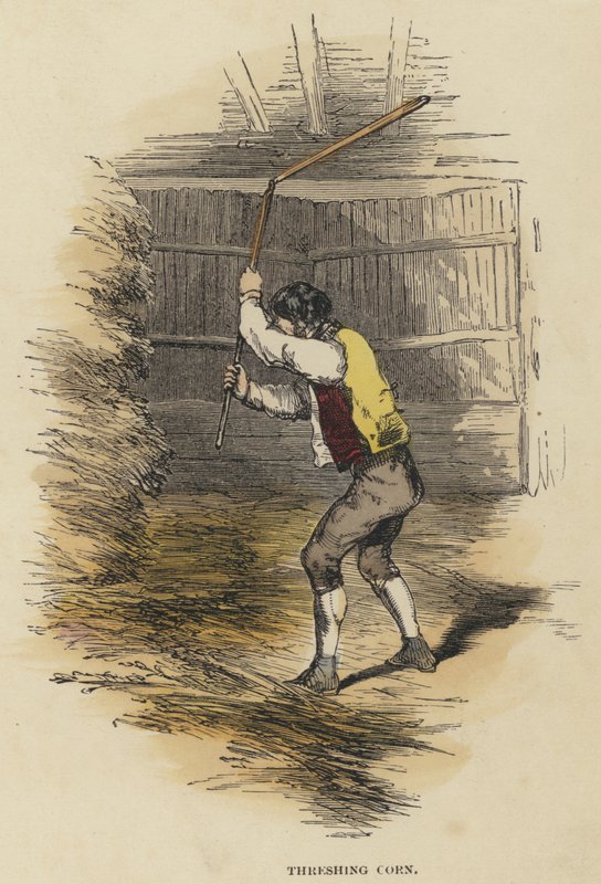 Korn dreschen von English School