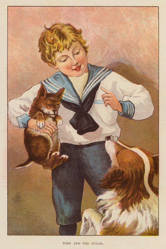 Toby und der Zucker von English School