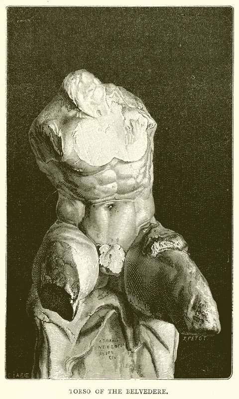 Torso des Belvedere von English School