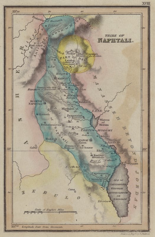 Stamm Naphtali (Farbstich) von English School