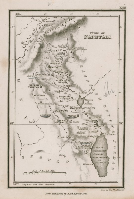 Stamm Naphtali von English School