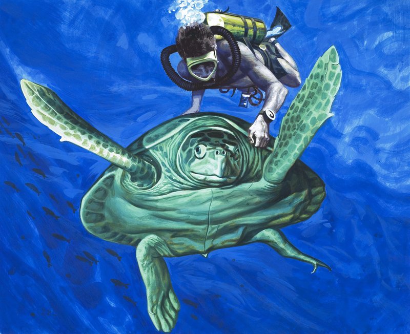 Schildkröte mit Taucher von English School