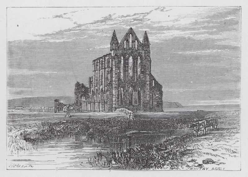 Whitby Abbey von English School