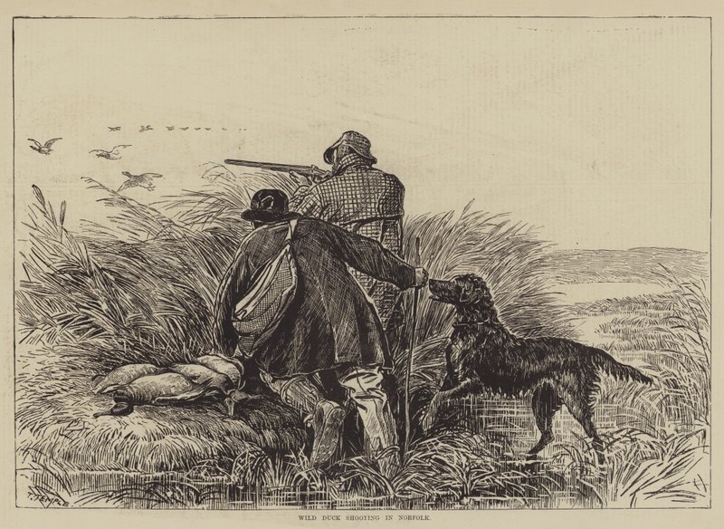 Wildentenjagd in Norfolk von English School