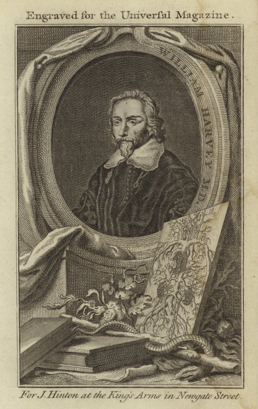 William Harvey M.D. von English School