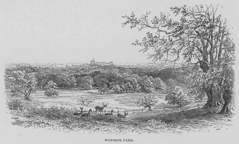 Windsor Park (Stich) von English School