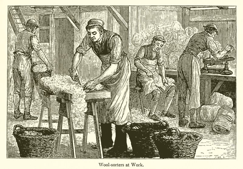Wollsortierer von English School
