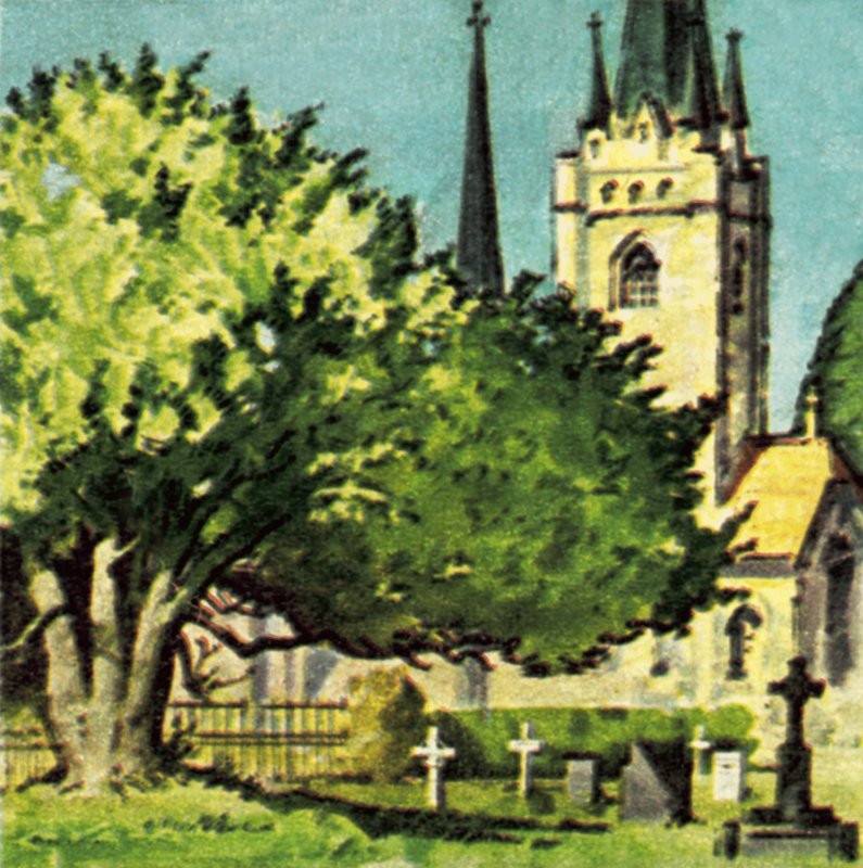 Eibe auf einem Kirchhof von English School