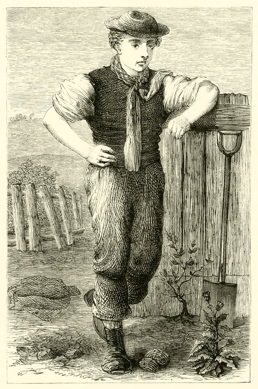 Junger Gärtner von English School