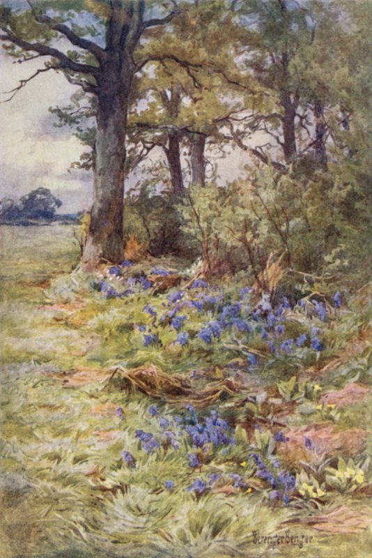 Ränder der duftenden Wälder von Ernest Benger or Berenger
