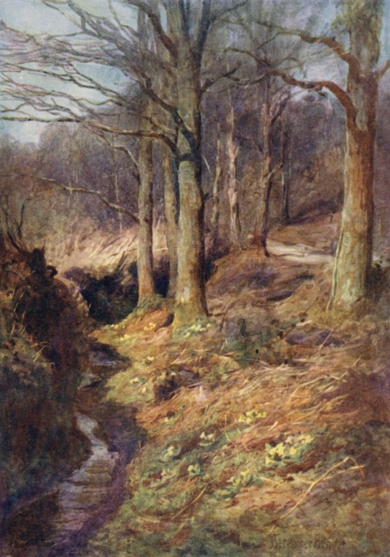 Wenn der Frühling im Wald erwacht von Ernest Benger or Berenger