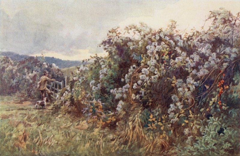 Reisefreude von Ernest Benger or Berenger