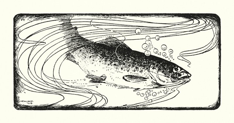 Lachs am Haken von Ernest Edward Briggs