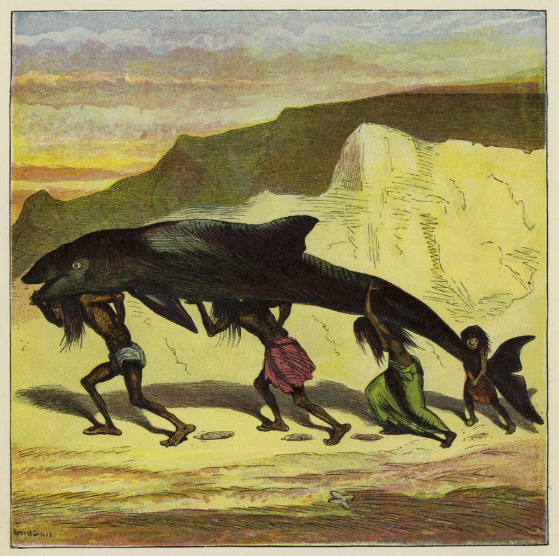 Großer lustiger Fisch von Ernest Henry Griset