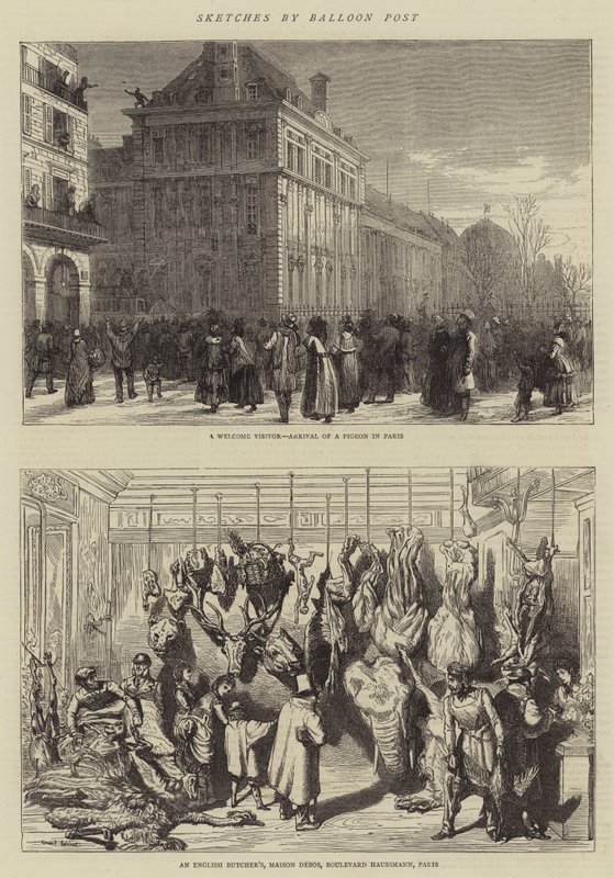 Skizzen per Ballonpost von Ernest Henry Griset
