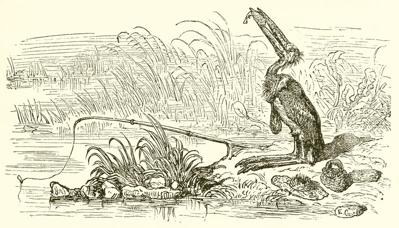 Der Angler und der kleine Fisch von Ernest Henry Griset