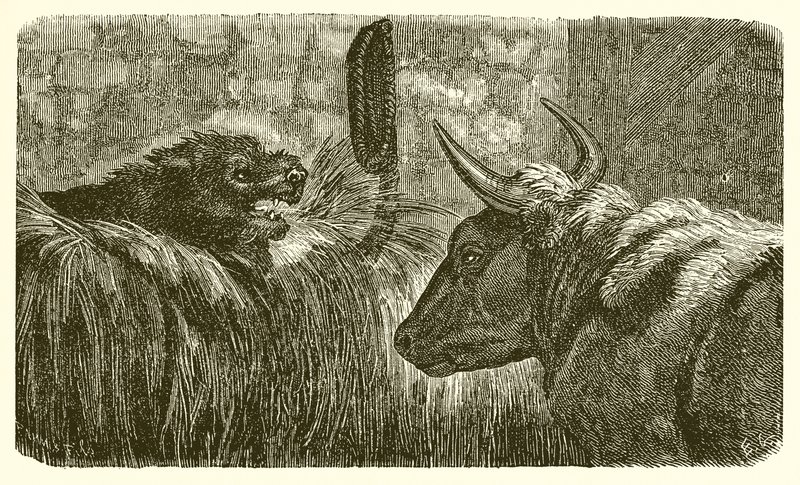 Der Hund im Krippenstall von Ernest Henry Griset