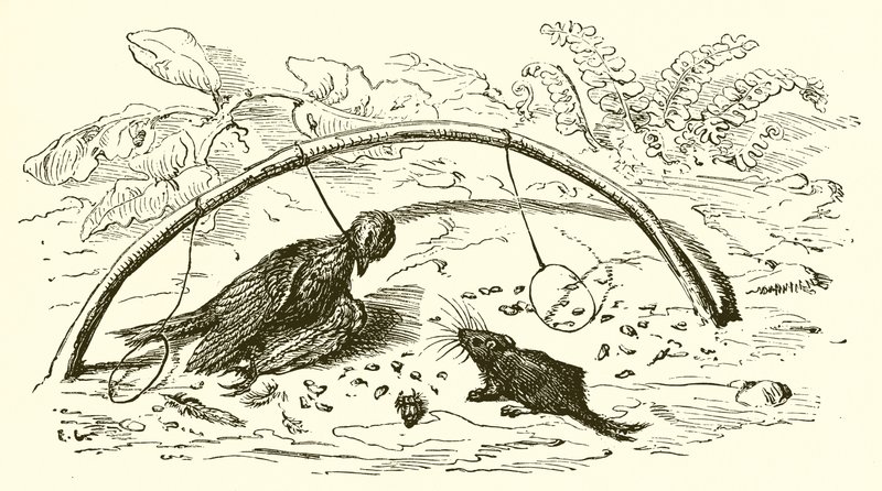 Der Vogelfänger und die Lerche von Ernest Henry Griset