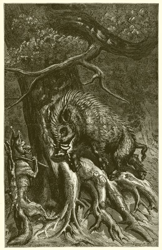 Der Fuchs und das Wildschwein von Ernest Henry Griset