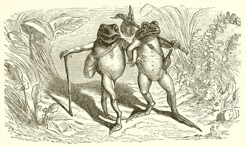 Die zwei Frösche von Ernest Henry Griset