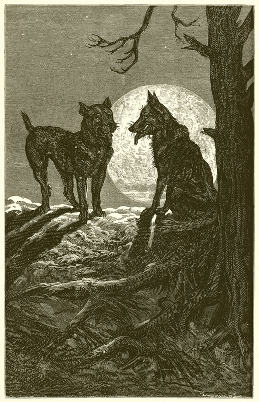Der Wolf und der Mastiff von Ernest Henry Griset