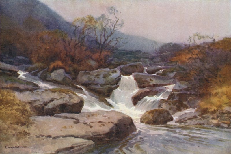 Ein Dartmoor-Bach von Ernest William Haslehust