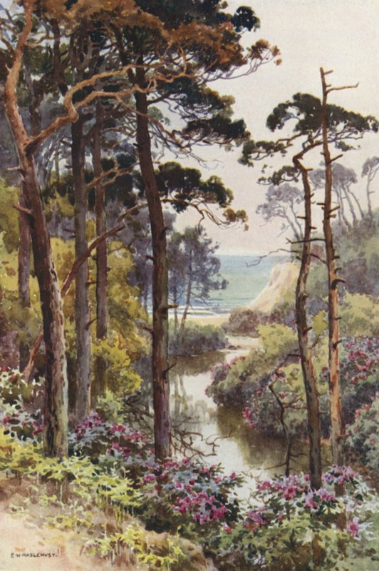 Branksome Chine, Bournemouth von Ernest William Haslehust