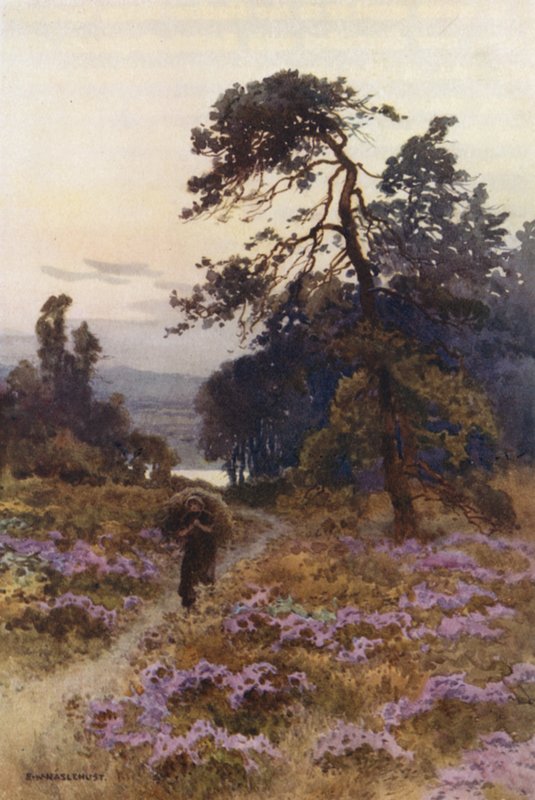 Harlow Moor, Harrogate von Ernest William Haslehust
