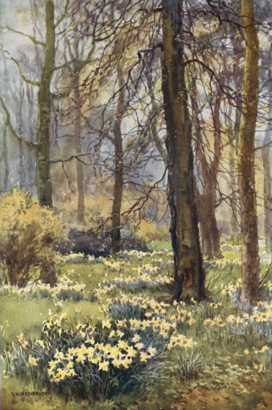 Die Wildnis im Frühling von Ernest William Haslehust