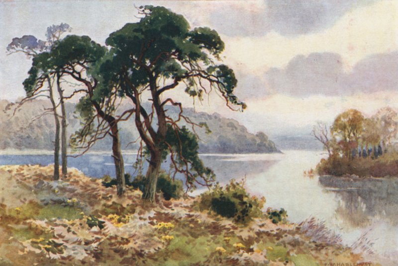 Virginia Water von Ernest William Haslehust