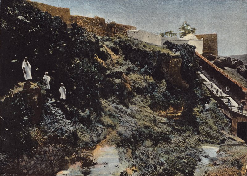 Die Schlucht von Oued-Toudman in Mascara von European Photographer