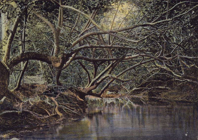 Eine Ecke von La Pautana von European Photographer