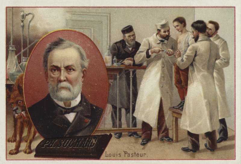 Louis Pasteur, französischer Chemiker und Mikrobiologe von European School