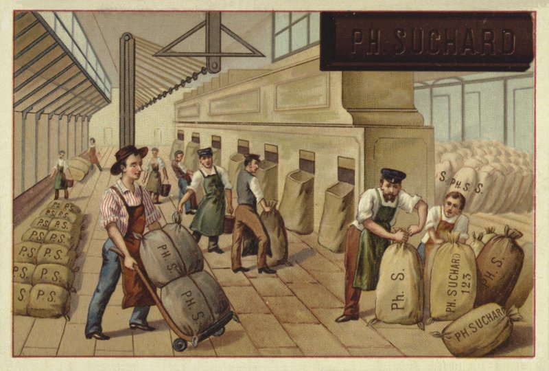 Verpacken von Kakaosäcken in einer Fabrik von European School